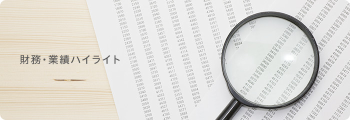 財務・業績ハイライト